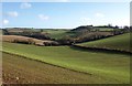 SX8564 : Combe above Compton by Derek Harper