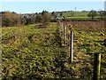 NS3976 : Fence at Kilmalid by Lairich Rig