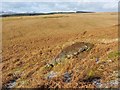 NS4278 : Cornstone outcrop by Lairich Rig