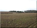 SP3563 : Ploughed fields by the Fosse Way by David P Howard