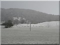 SE4786 : Snow on the Hambleton Hills by Alan Murray-Rust