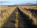 NS4683 : Track across Cameron Muir by Lairich Rig