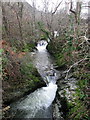 SN3556 : Rapids in the Afon Tydu by Rudi Winter