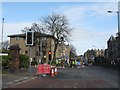 NT2470 : Spring pruning - a Horse Chestnut gets a snip by M J Richardson