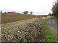  : Track To Stockend Farm by Peter Whatley