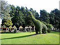 TL3612 : Topiary, Van Hage Garden Centre, Great Amwell, Hertfordshire by Christine Matthews