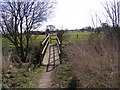 TM3977 : Footbridge over Town River by Geographer