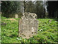 TQ8212 : Headstone at Old Church of St Helen by Oast House Archive