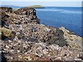  : East side of Lyndale Point by Richard Dorrell