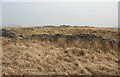 SS8692 : Dry stone walls, Mynydd Pwll-yr-Iwrch (Mynydd Bach) by eswales