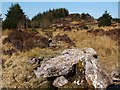 NS3482 : Boulder in wall beside Red Burn by Lairich Rig