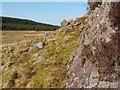 NS3482 : Rock outcrop near Ben Bowie by Lairich Rig