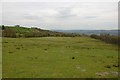 SN9492 : Upland grazing near Tan-y-bryn by Nigel Brown