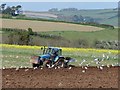 SX8748 : Springtime  ploughing by Robin Drayton