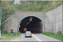 TQ4210 : The Cuilfail Tunnel by N Chadwick