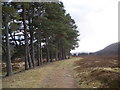 NO0589 : Estate track near Linn of Dee by John Ferguson