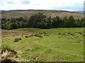 NS4582 : Remains of Aridow: field dyke by Lairich Rig