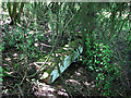 SK9018 : Ironstone railway relic in the undergrowth by John Sutton