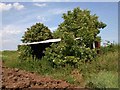 SP2442 : Disused shed near New Farm by David P Howard