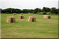 TR0231 : Hay Bales by Oast House Archive