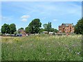 SK5914 : Sileby Mill and marina, River Soar by David P Howard