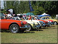 TQ9141 : MG's at Darling Buds Classic Car Show by Oast House Archive