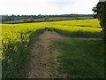  : Footpath heading to A508 by Shaun Ferguson