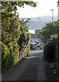 SX9062 : Access lane, Livermead by Derek Harper