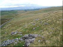  : Wall on Wharton Fell by David Brown