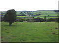 SX5693 : View across the valley, towards Fowley Farm by Roger Cornfoot