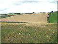 SX7757 : Fields west of Key's Englebourne by Robin Stott