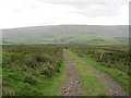 NY7745 : Bridleway towards Nentsberry by Les Hull