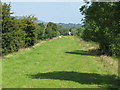 R6161 : Long pasture by canal by David Hawgood