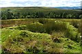 NS4582 : Remains of Aridow: main building, from the northeast by Lairich Rig