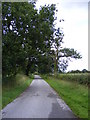 TM3774 : Gilletts Lane, Walpole by Geographer