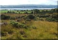 NS3778 : Moorland above Kipperoch Farm by Lairich Rig