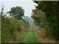 SK6485 : Green track between hedges by Andrew Hill