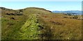 NS2973 : Remains of a field dyke by Lairich Rig