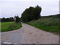 TM3055 : The entrance to Wickham Market Sewage Works & Fowls Watering by Geographer