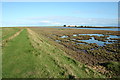  : Sea Wall at Town Marshes, Orford by John Lemay