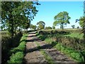 SP3354 : Driveway from Bishop's Gorse Farm by David P Howard