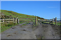 SH6107 : Cattle grid above Ffridd Bryn-coch by Nigel Brown