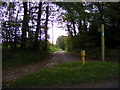 TM3769 : Footpath to Strickand Manor Hill & entrance to Park Cottage by Geographer