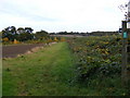 TM3565 : Footpath to Sandy & Carlton Lanes by Geographer