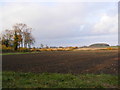 TM3465 : Fields off Hill Farm Road by Geographer