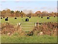 SP3555 : Start of bridleway to Harbury by David P Howard