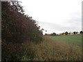  : Field edge boundary below Lammy Down by Dr Duncan Pepper