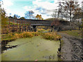 SD7606 : Ladyshore Bridge; Manchester, Bolton & Bury Canal by David Dixon