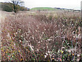 SD7406 : Canal Dry Dock, Nob End by David Dixon