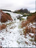  : Old gateposts on the path to Park Wood by Andy Waddington